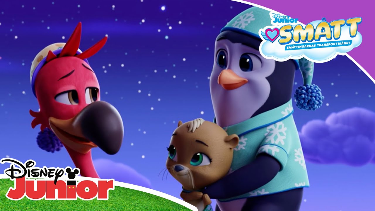 🌃 Nattflyg | Sm&aring;tt | Disney Junior Sverige