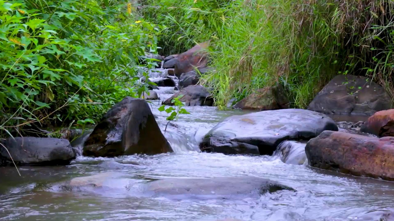 Mountain River Dreamy Flow | Peaceful Nature Sounds for Deep Sleep Tonight