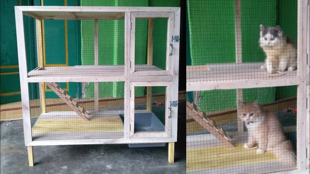 cara membuat kandang kucing 2 lantai secara sederhana mudah dan praktis