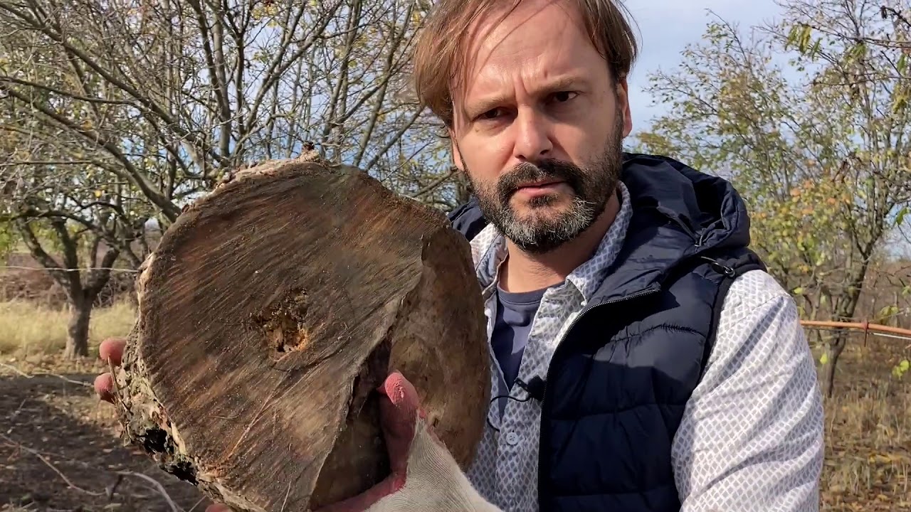 Как просто выкопать бетонный (железный) столб из земли