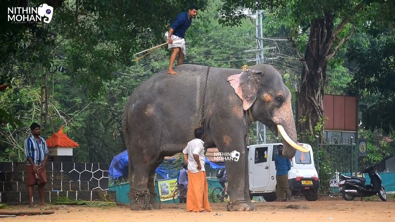 karuvanthala ganapathy