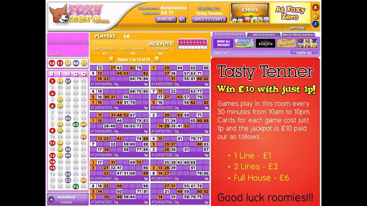 Foxy Zero - Winning Bingo Game In Play