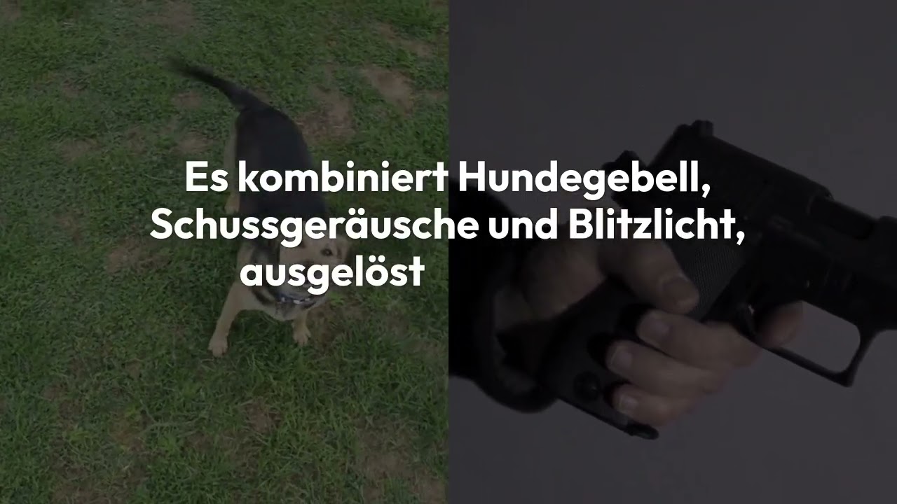 Alarmanlage mit originalem Hundegebell Test 2024: die besten 5 elektronischen Wachhunde im Vergleich