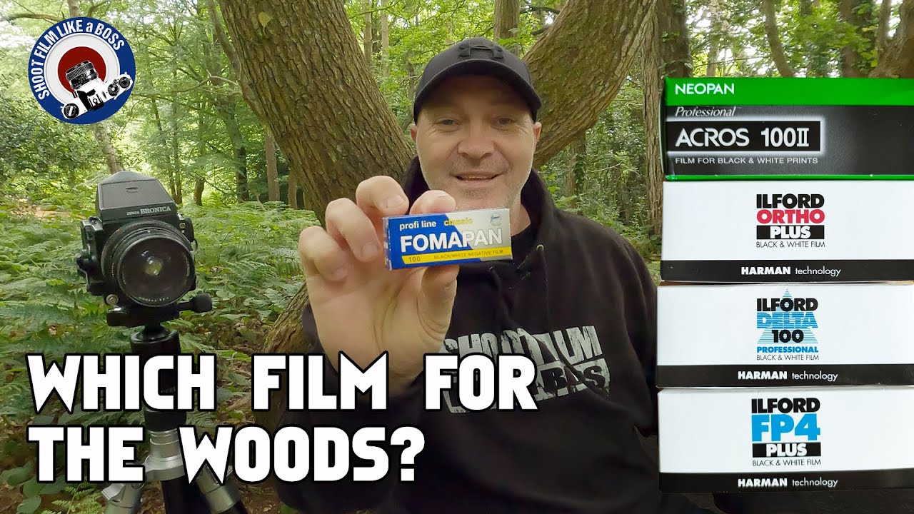 One of these films surprised me! Woodland Photography