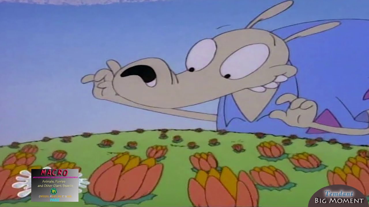 Rocko wishes to be BIG!