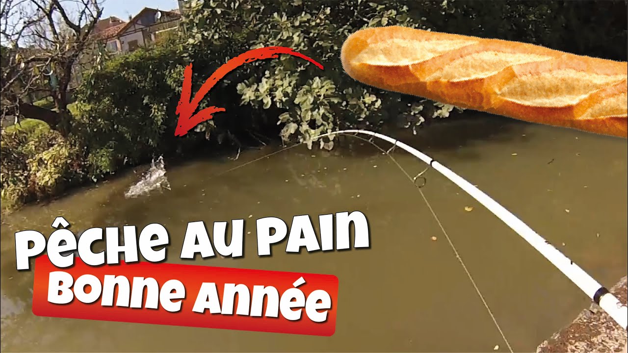 Je PÊCHE avec du PAIN ! (#carpiste)