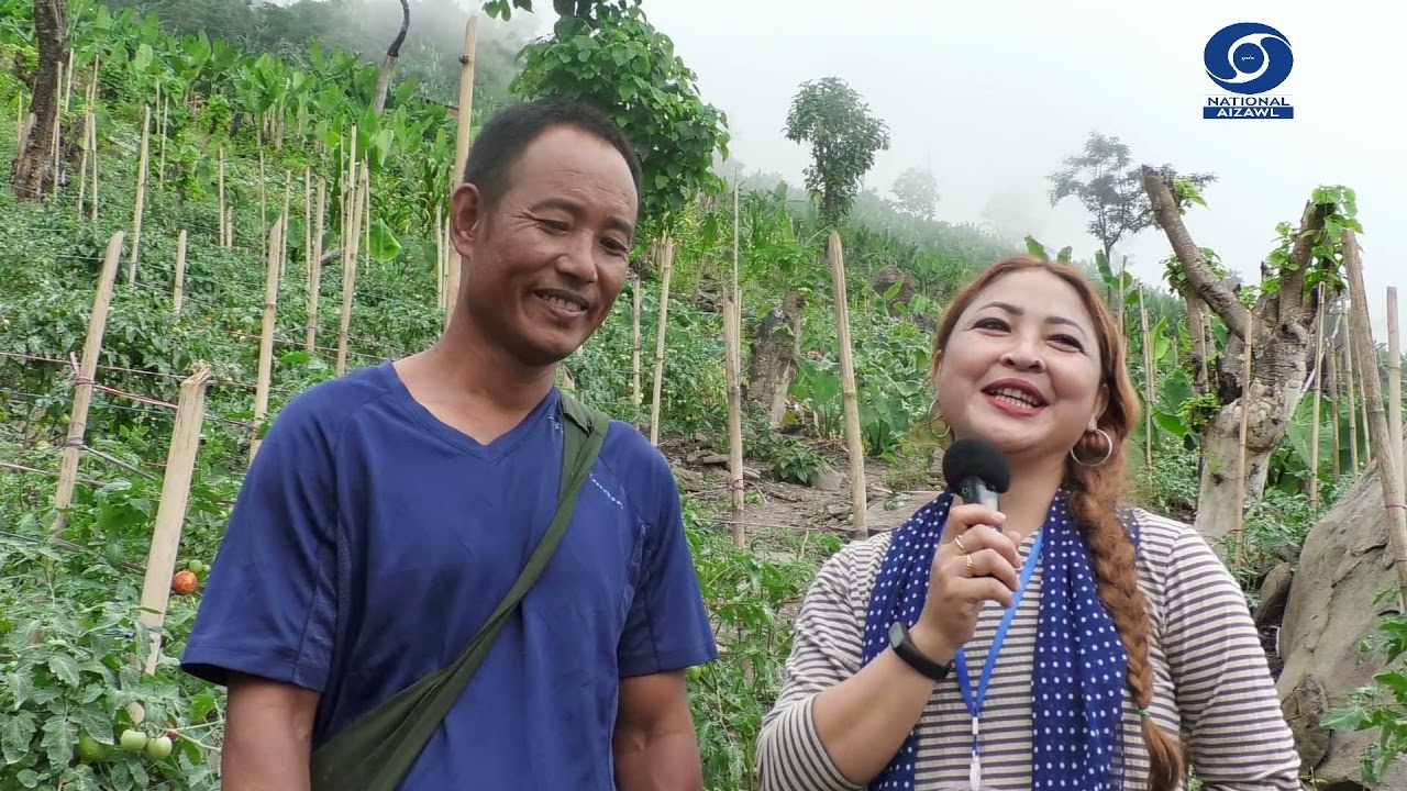 Khanpui Hriangtlang zau a Tomato chingtute kawmna Part 1