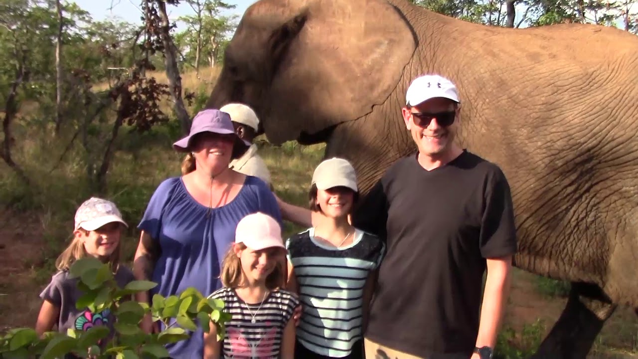 Victoria Falls Elephant Encounter