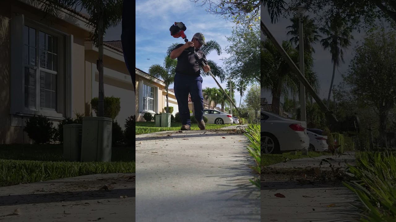 Cutting tall grass with the weed eater demonstration ECHO MEANS BUSINESS