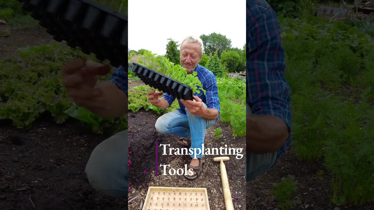 Transplanting Tools, Dib Popper and Dibber