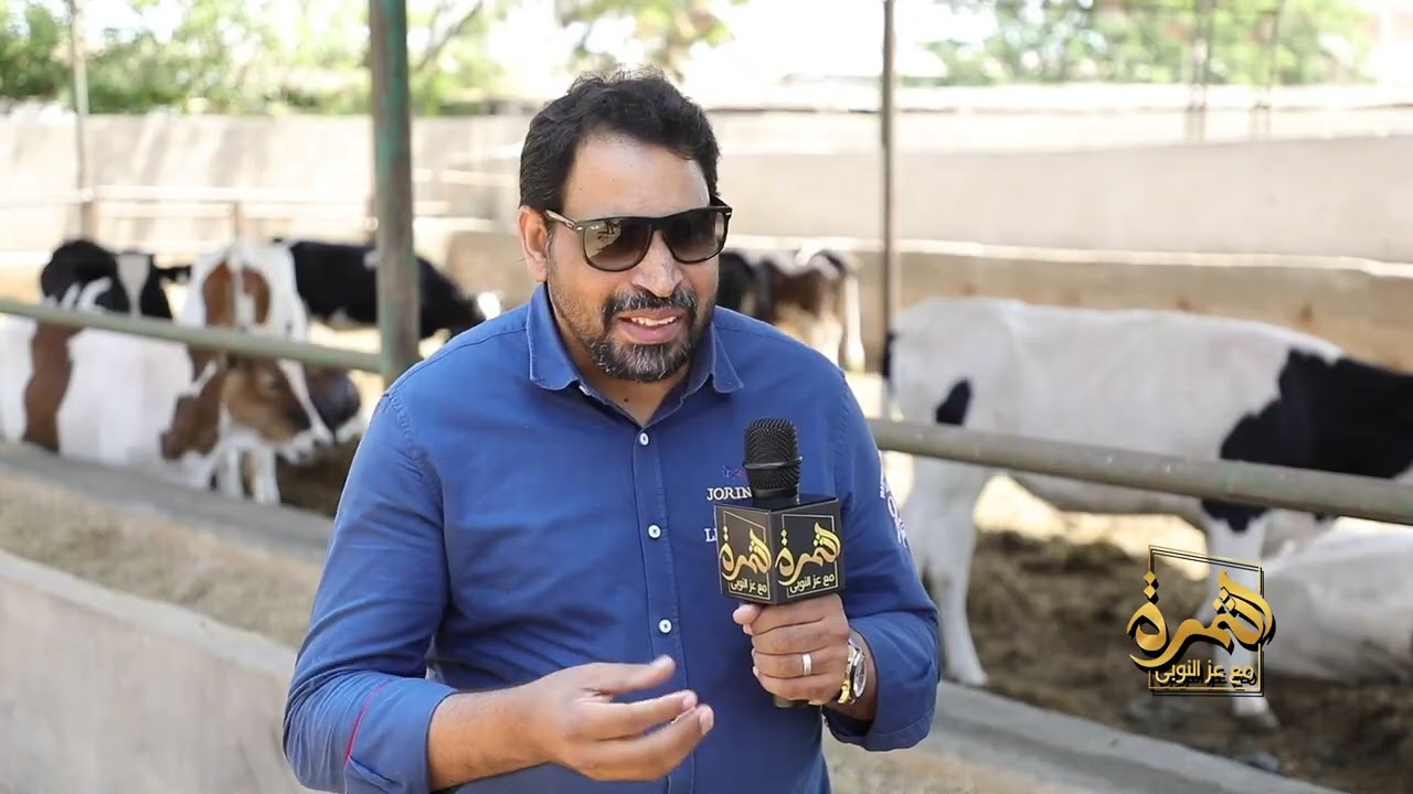 بـ1000 جنيه شهريًا، احصل على بقرة وجاموسة من مزرعة الماشية المحسنة وراثيًا