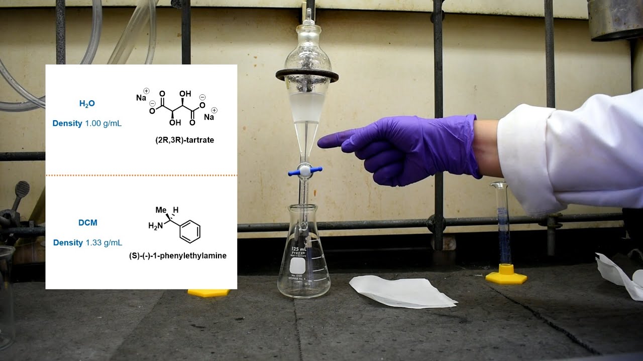 Resolution of 1-Phenylethylamine - Organic Chemistry I