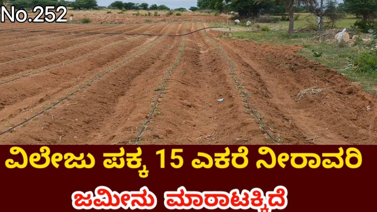 General property agriculture land for sale nearby Pavagada  Taluk Tumkur district