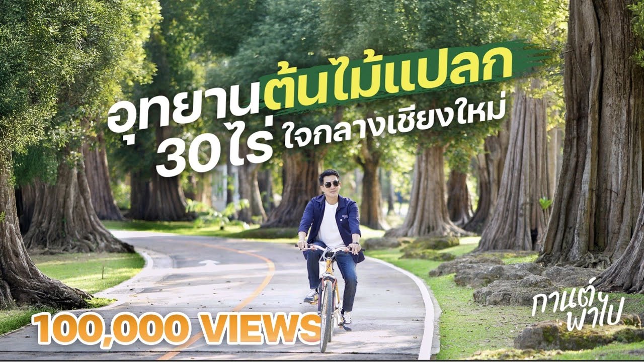 ช้างทอง เฮอริเทจ ปาร์ค สวนไม้แปลกที่ใช้เวลาสะสมกว่า 20 ปี ใจกลางเมืองเชียงใหม่