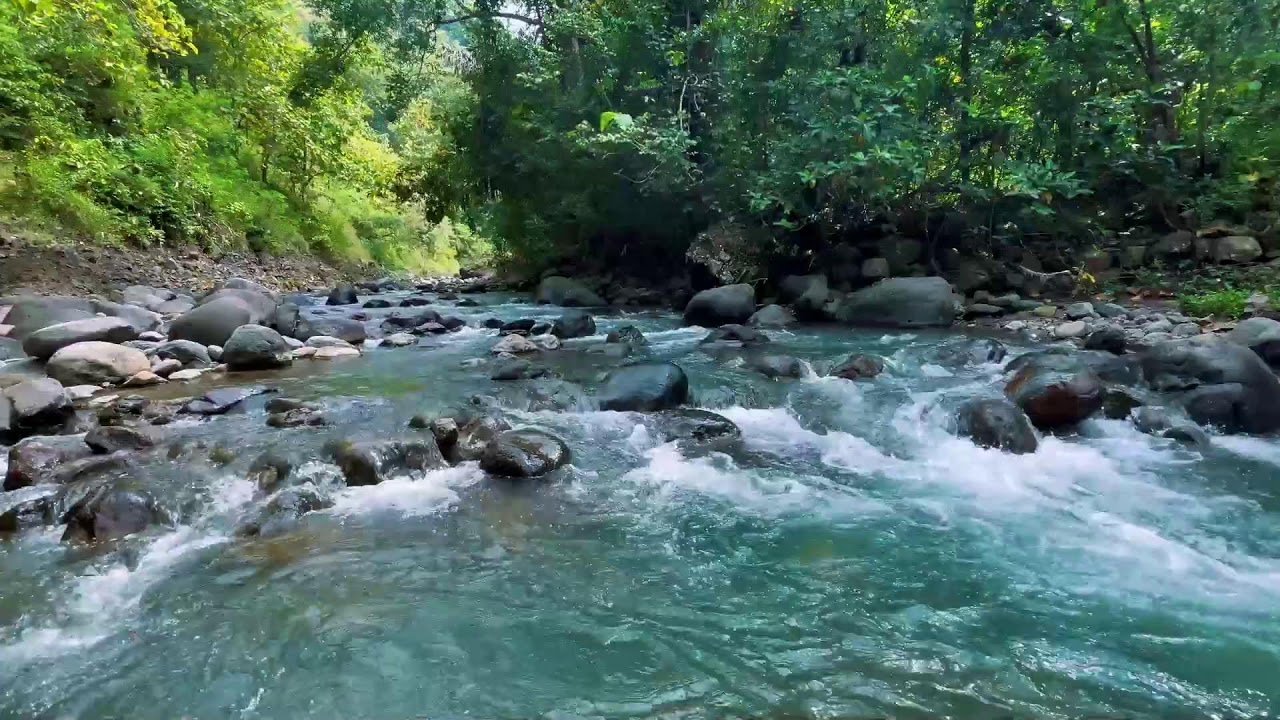 Relaxing River Sounds for Focus, Studying & A Peaceful Home 🌿 Relaxing Sleep Calming Anxiety