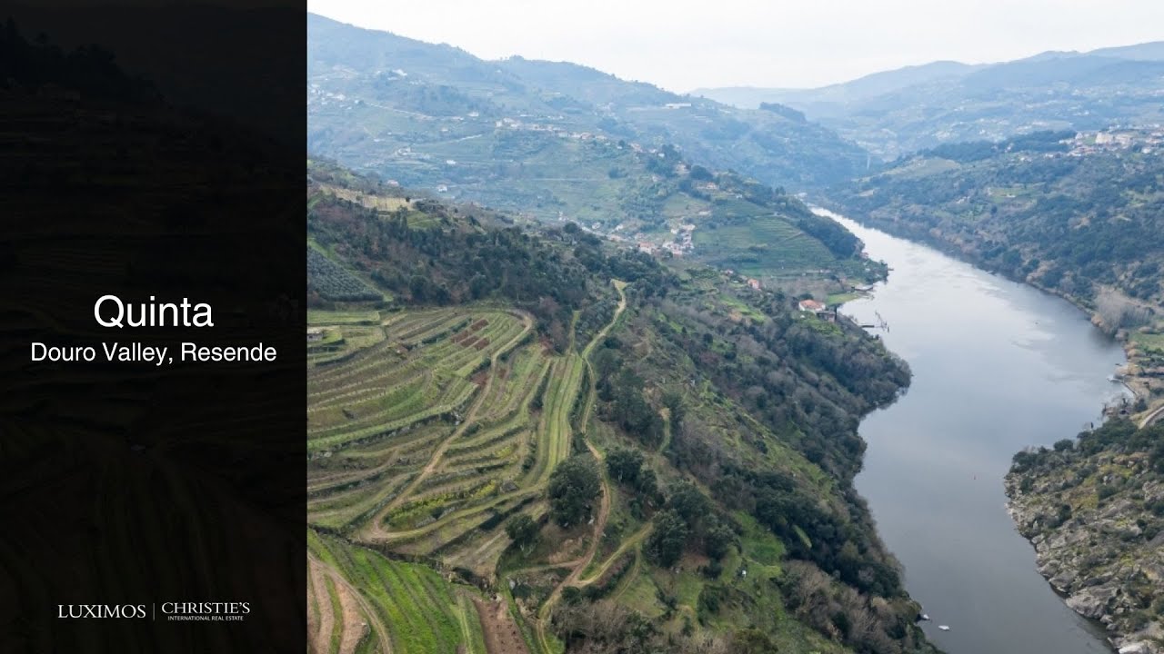 Fantástica quinta à venda no Douro Valley, Resende, Portugal