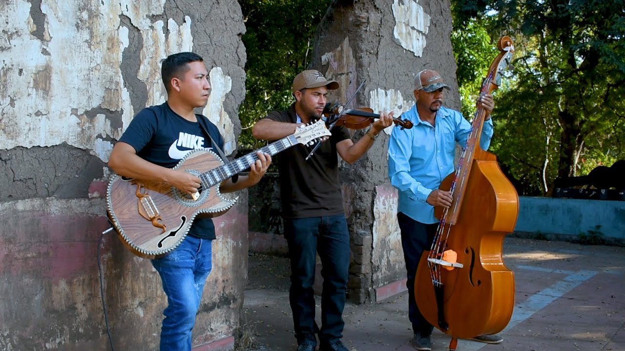 Ayer la vi por la calle [] Los Potrillos De Turicato