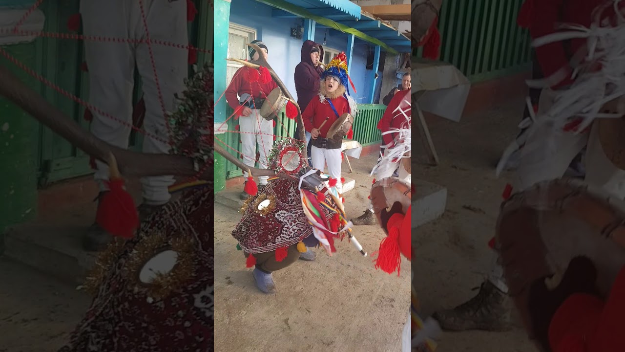 Cerbul de la Albesti Comuna Braesti 2019/2020