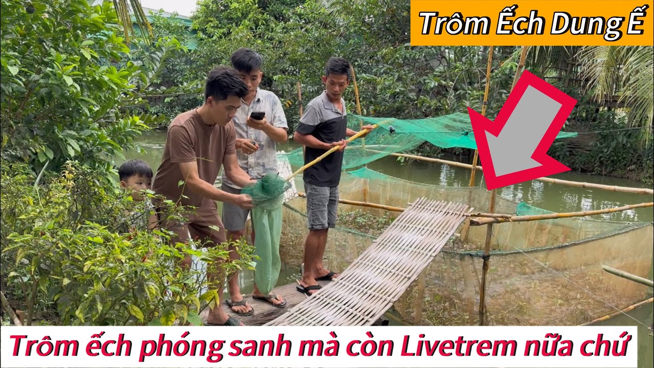 3 Con Báo lén bắt ếch Dung Ế đem ra ruộng phóng sanh và Cái Kết