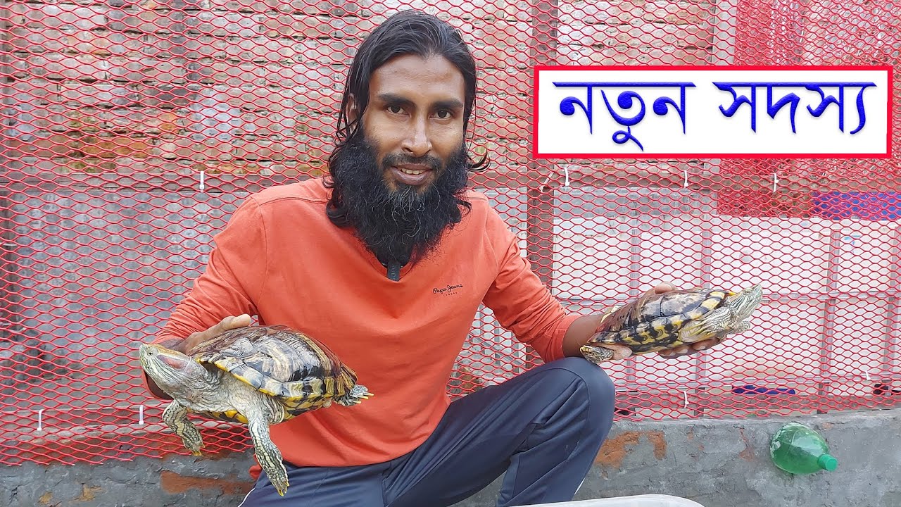 বার্ডস ক্যানভাসের নতুন সদস্য Red Eared Slider কচ্ছপ