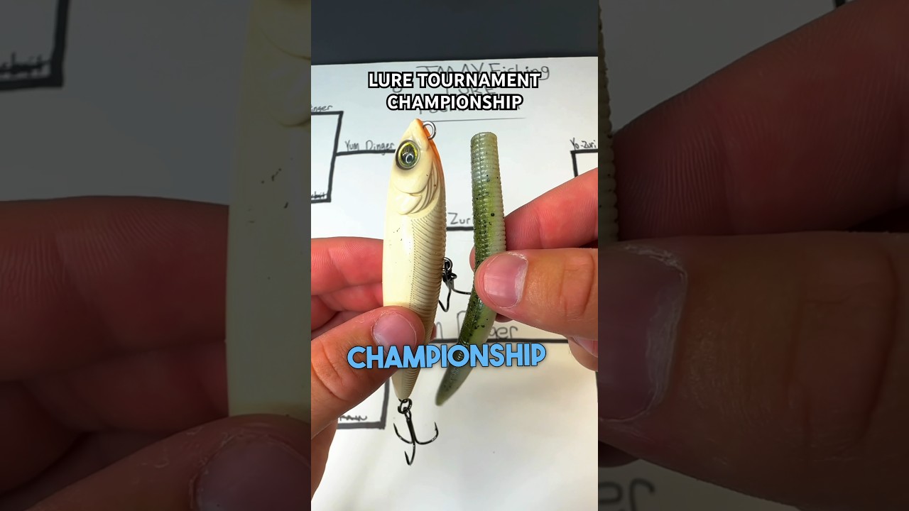 LURE TOURNAMENT CHAMPIONSHIP PT.2 😨 #bassfishing #fishing