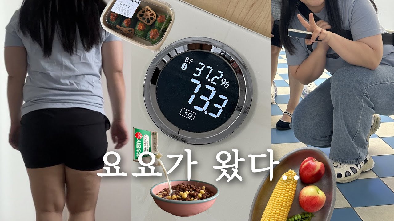 (diet vlog) 요요 오고 다시 다이어트 시작. 일주일 -2.9kg.  키토김밥, 샐러드, 호박잎쌈, 월남쌈, 빙수 해먹고 애플워치 사서 운동하는 다이어트 브이로그