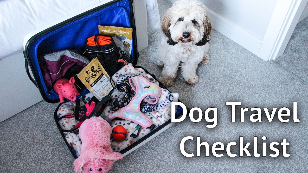 DOG HOLIDAY CHECKLIST: Everything you need to pack, if going on vacation with your pup