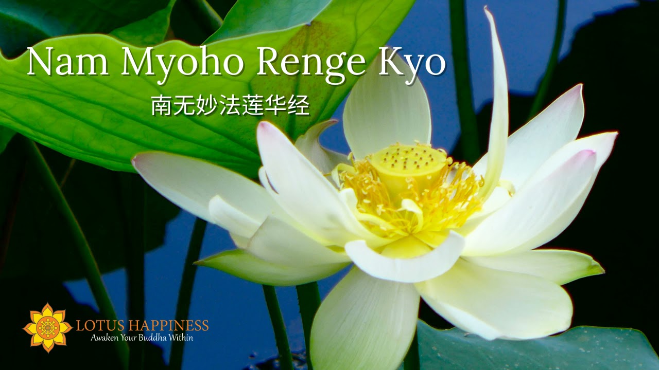 ❤️Nam Myoho Renge Kyo ❤️ | 🌻Daimoku 🌻| Nichiren Buddhism 🌈