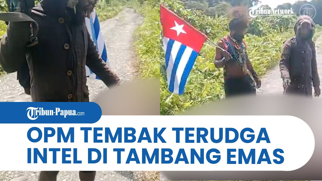 Beredar Video OPM Tembak Terduga Intelejen di Wilayah Tambang Emas Yahukimo
