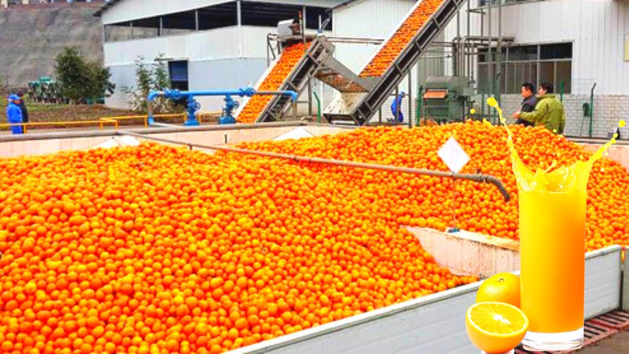 How Orange Juice Is Made (You Won't Believe What Happens During This FanTECHstic Process!)