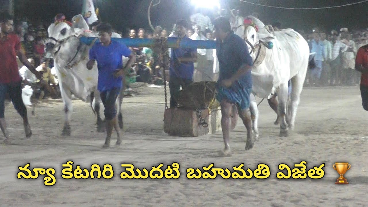 బయ్యవరం న్యూ కేటగిరి 1🏆 విజేత || పుచ్చకాయల శివ పార్వతి కళ్యాణ్ మెమోరియల్ పుచ్చకాయల శేషాద్రి చౌదరి