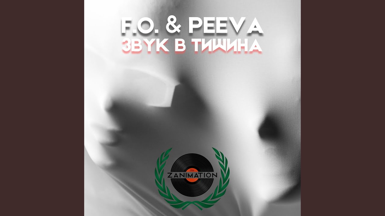 Звук в тишина