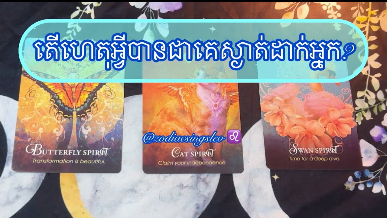 តើហេតុអ្វីបានជាគេស្ងាត់ដាក់អ្នក? - Pick a Card