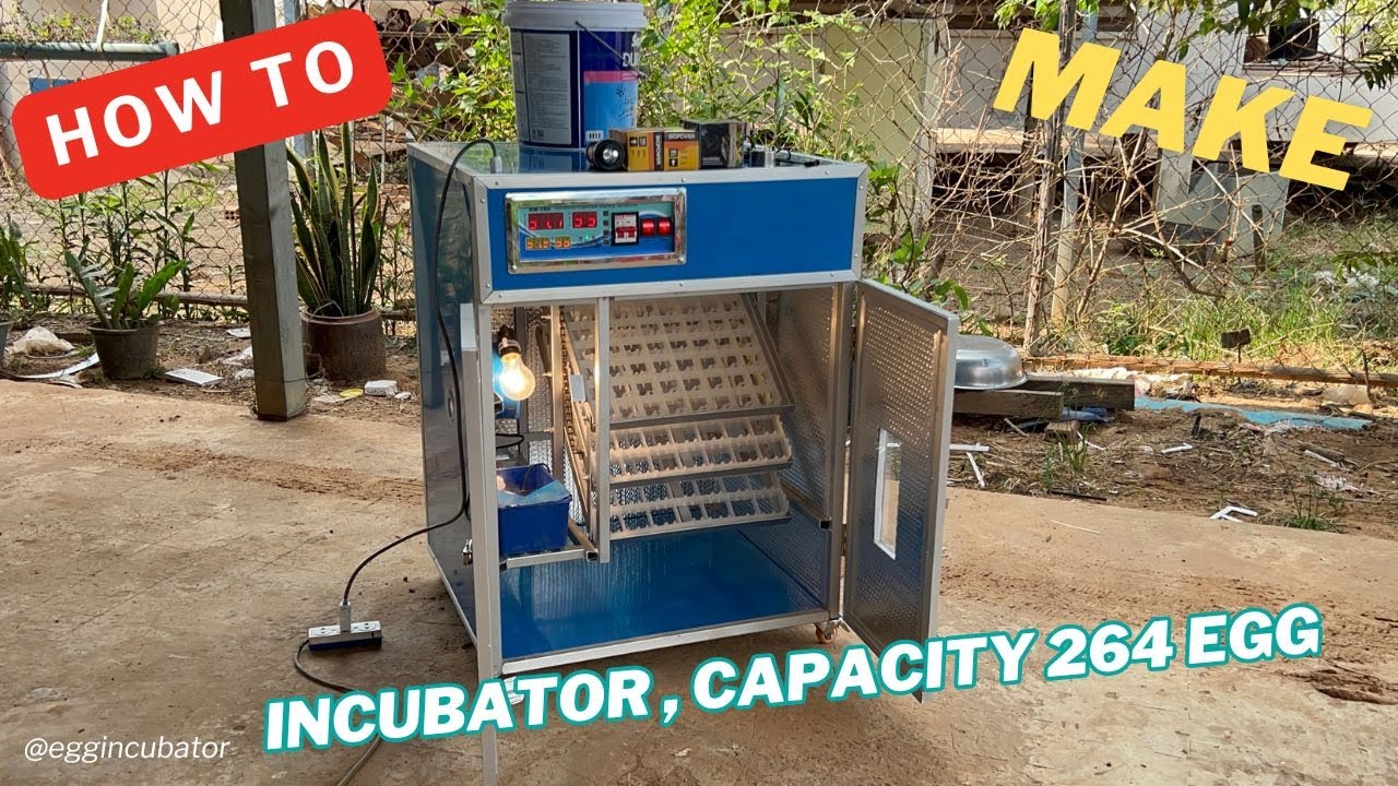 8Steps Make a Full Automatic Chicken Egg Incubator at Home – Step by Step - Large Capacity 264 Eggs🐣