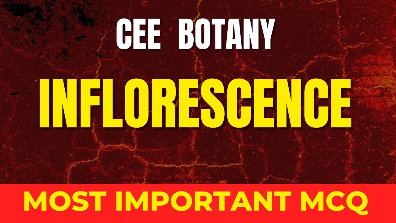 CEE 2083 | INFLORESCENCE MCQ ( ONLY FOR TOPPER )