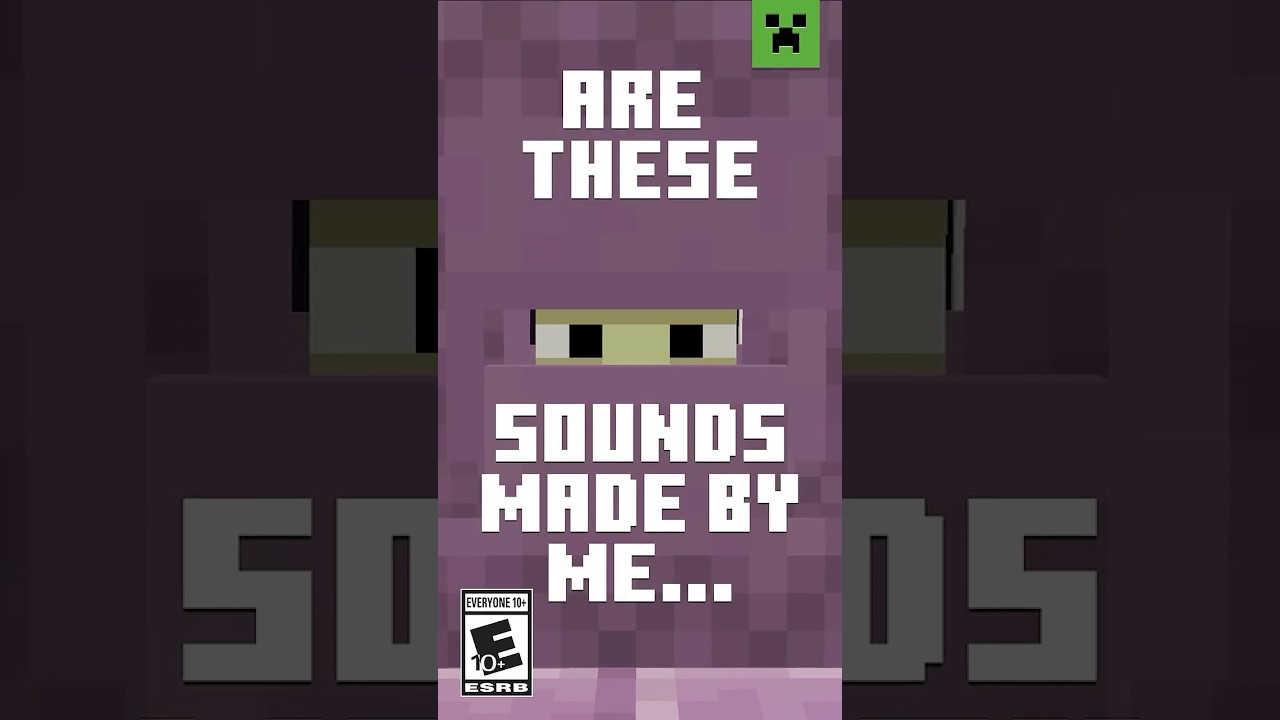 WHICH MINECRAFT SOUNDS DID I MAKE?