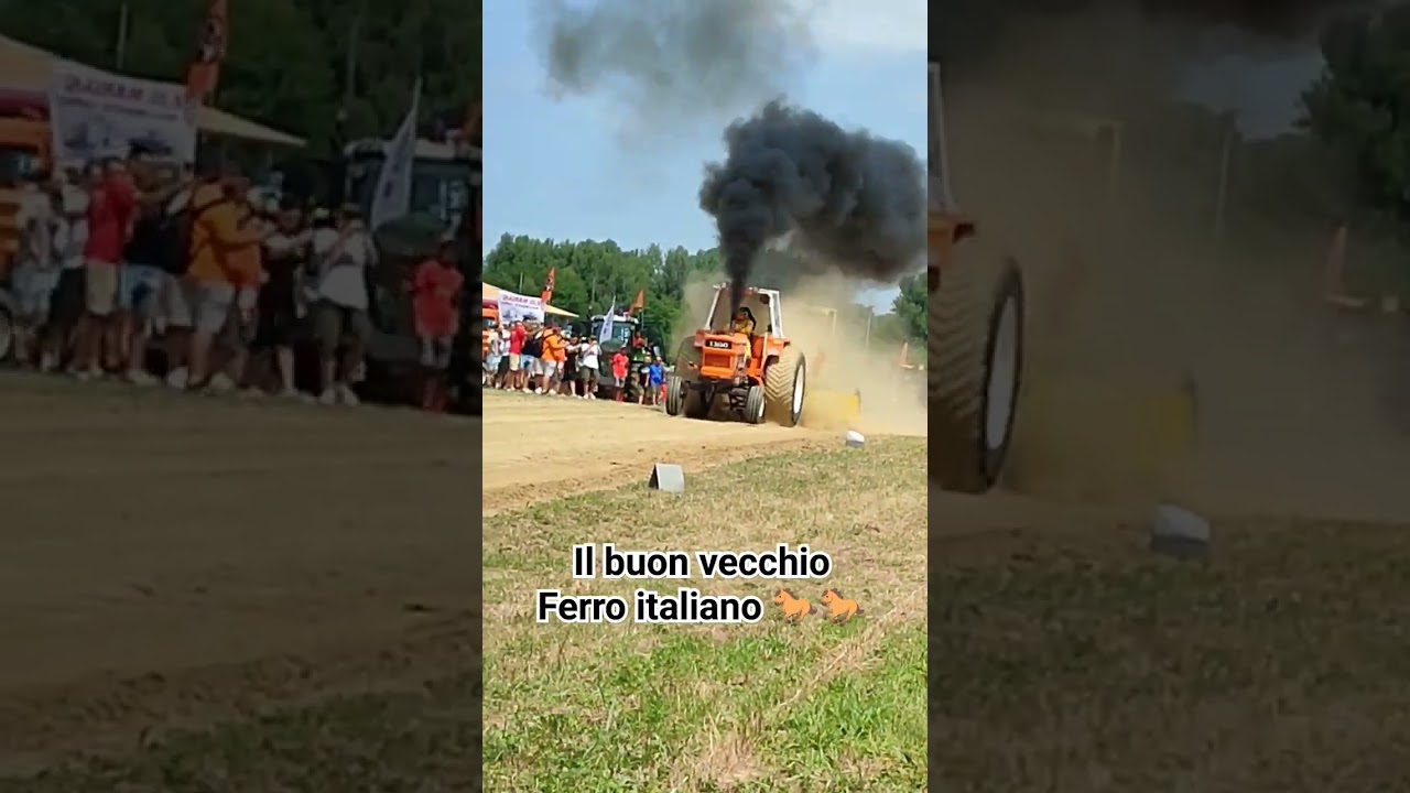 #fiat #1300 #tractorpulling #agrishow