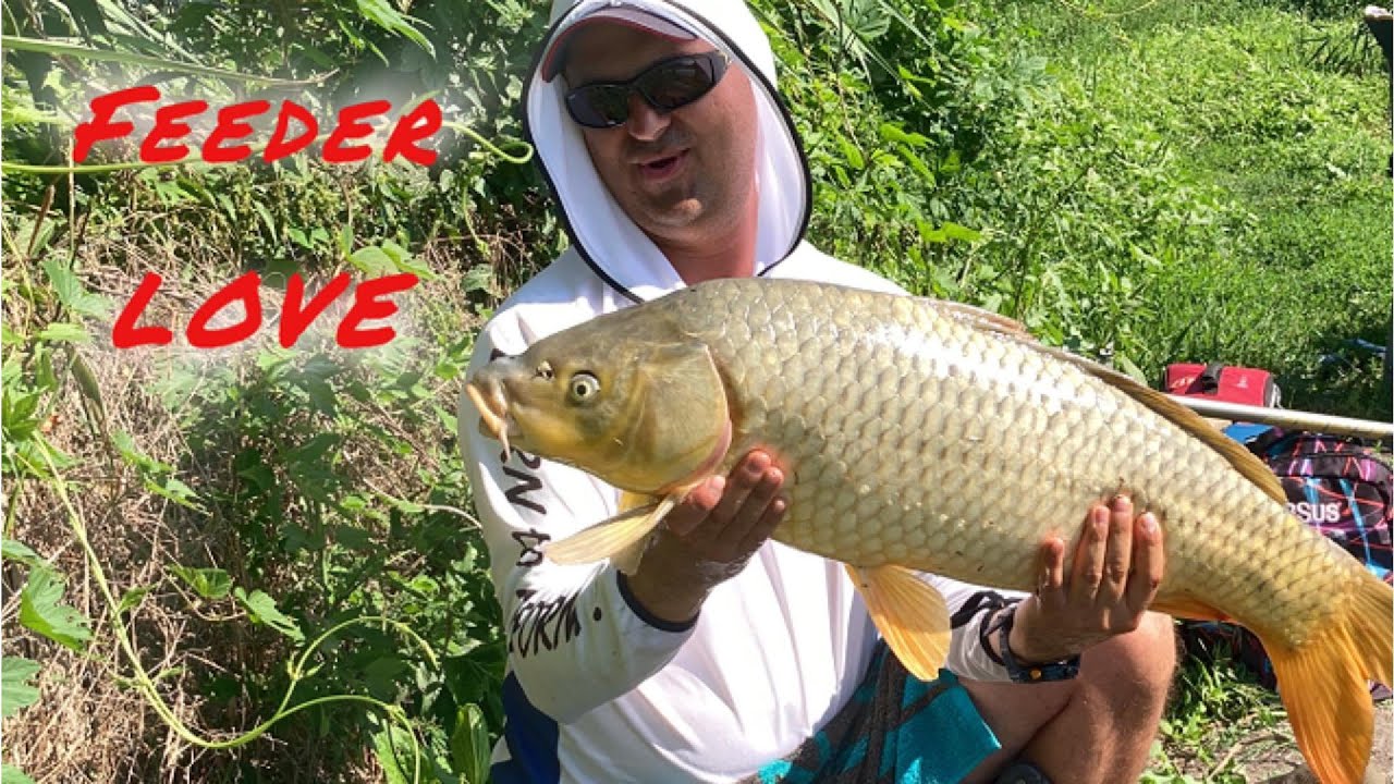 Pescuit La Method Cu Noua Nada De La Total Fishing #fishing #fish #motivation