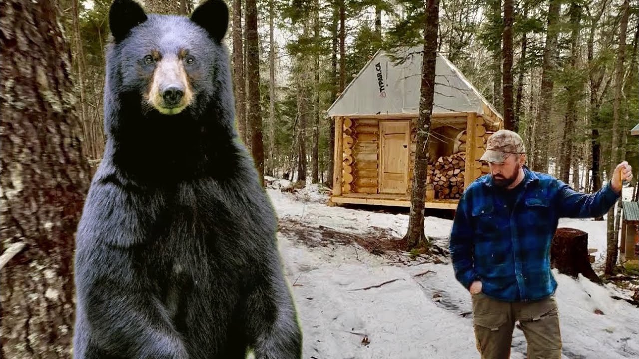 BEAR Proof Log Cabin DOORS,Log Cabin Build on Off Grid Homestead,Surviving Wilderness Winter [EP70]
