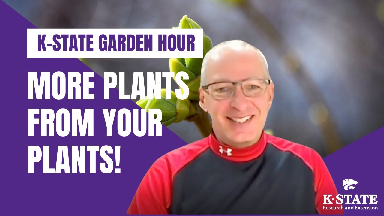 K-State Garden Hour: More Plants From Your Plants!