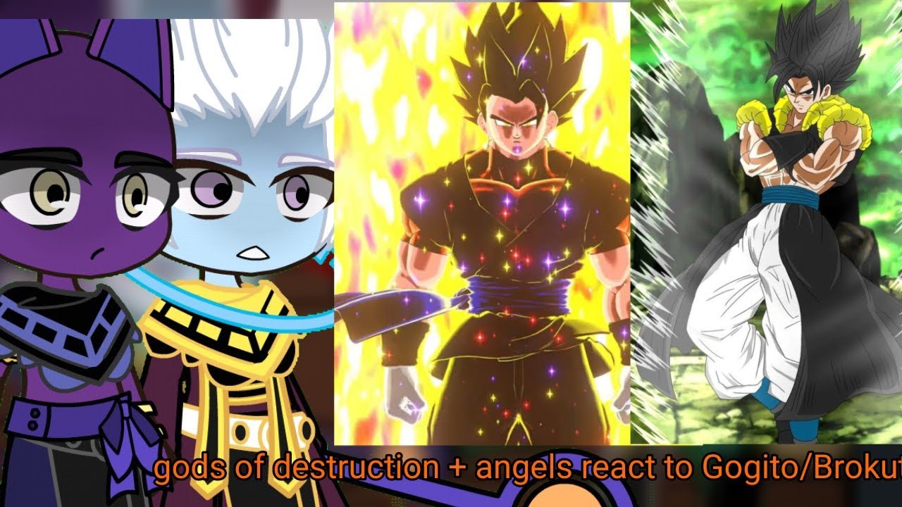 gods of destruction + angels react to Gogito/Brokuta