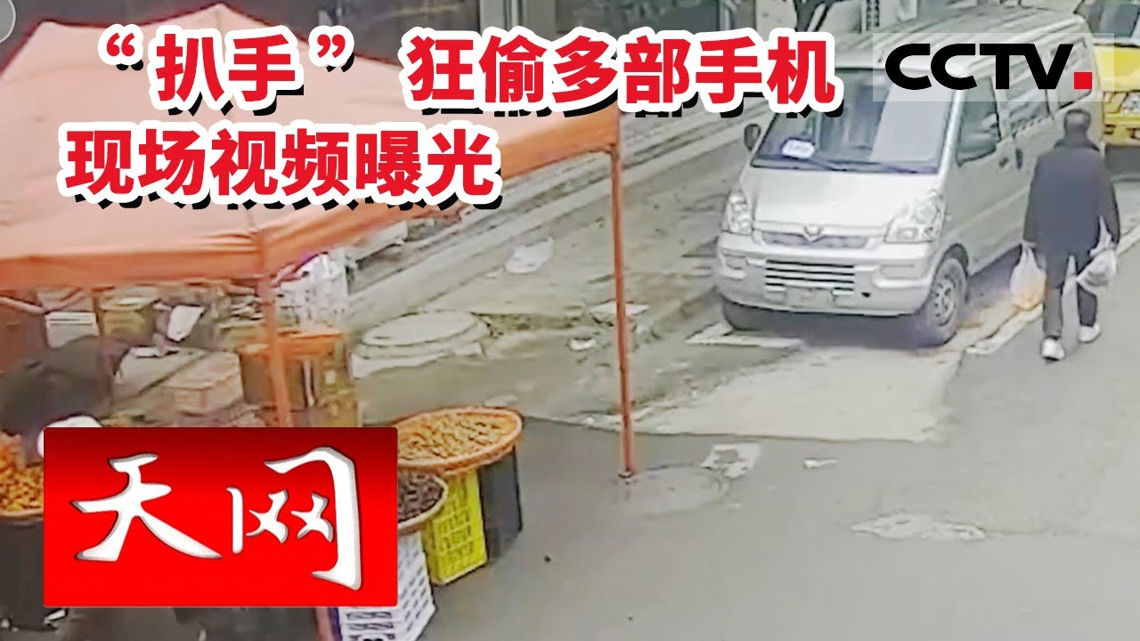 《天网》胆真大 一小时内集市上扒窃案频发 “扒手”狂偷多部手机 现场视频曝光！20230112 | CCTV社会与法