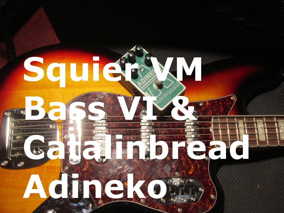 Squier Bass VI & Adineko