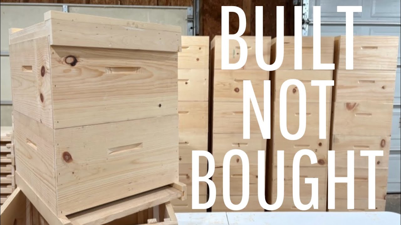 What It Cost Me to Build My Own Beehives