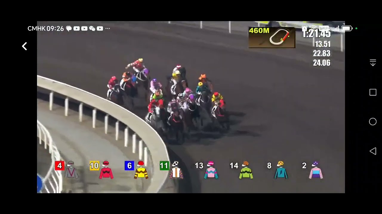 2月13日和記好馬介紹最強心水星期六沙田跑馬6埸12號
