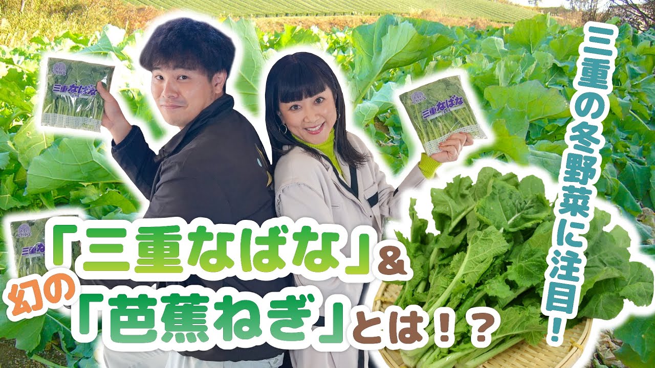 JAアワー　JAいがふるさと　三重なばなと芭蕉ねぎ　②