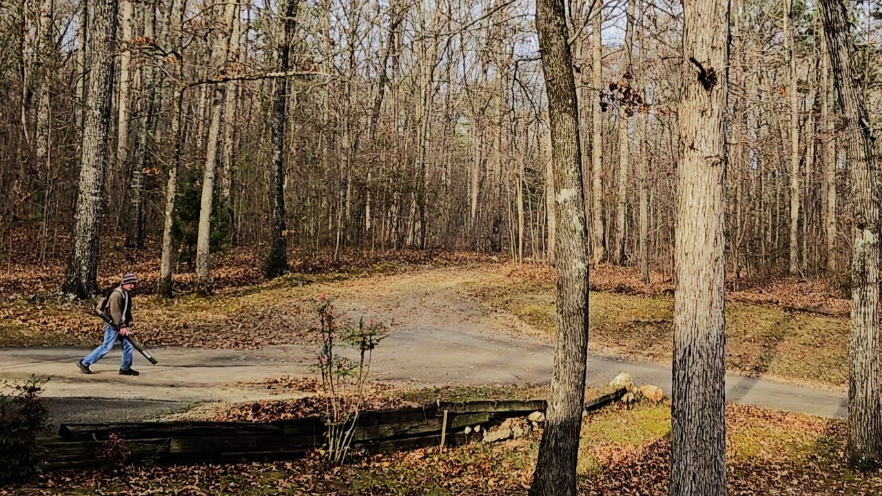 The Calm After Fall: Distant Leaf Blower Ambience for Study, Sleep & Focus
