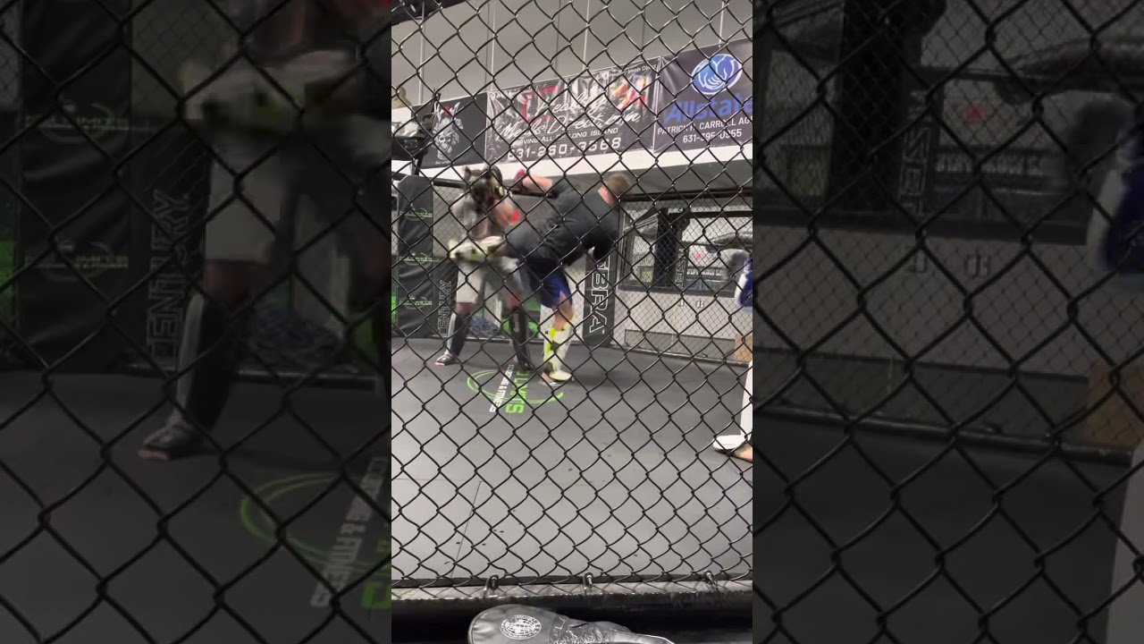 Shark Tank 🦈💥🥊