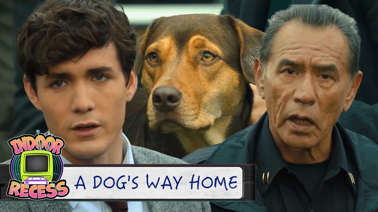 In Defense Of My Dog! | A Dog's Way Home | Indoor Recess