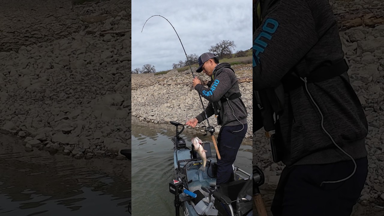 Где рыба, там ещё больше зацепов #bassfishing #fishusa #plinefishing #bassmafia #swimbait